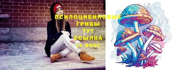 PSILOCYBIN Сосновка