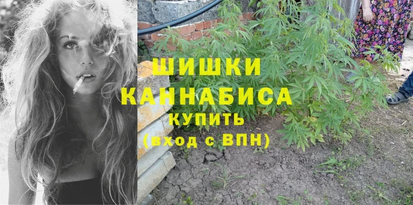 спайс Снежногорск