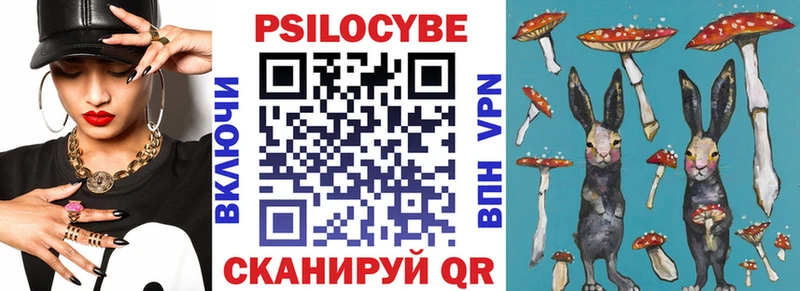 Купить  Жердевка  Галлюциногенные грибы MAGIC MUSHROOMS 